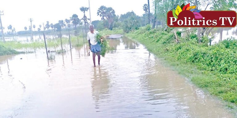 கிராம வாரியாக வெள்ள சேதங்கள் கணக்கெடுப்பு பணி துவக்கம்: நெல்லை மாவட்ட ஆட்சியர்!