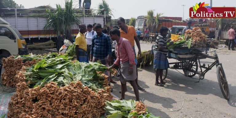 கோயம்பேட்டில் இன்று பொங்கல் சிறப்பு சந்தை தொடக்கம்!