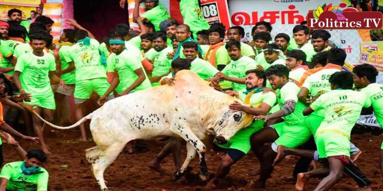 தச்சங்குறிச்சி ஜல்லிக்கட்டில் 7 பேர் காயம்!