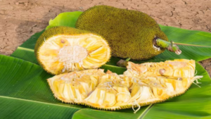 As tough as the skin of the jackfruit is, the fruit inside is much more delicious and healthy.