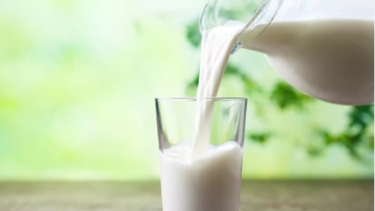 There are many myths about milk. Some milk contains a lot of calcium. They say you should drink it every day.