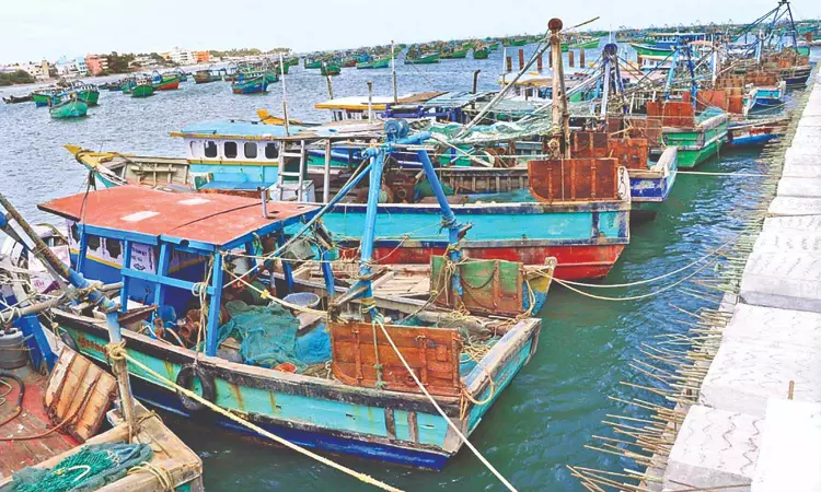 மீனவர்கள் கைதை கண்டித்து ராமேஸ்வரம் படகுகள் வேலை நிறுத்தம் !