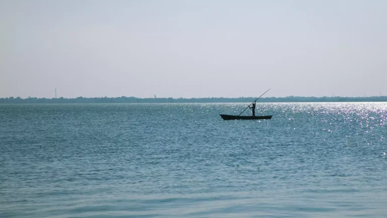 ஒரே ஆண்டில் 2-வது முறையாக நிரம்பியது வீராணம் ஏரி