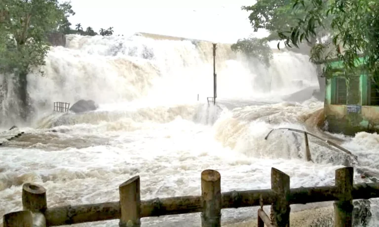 குமரியில் கனமழை- திற்பரப்பு அருவியில் 3-வது நாளாக குளிக்க தடை